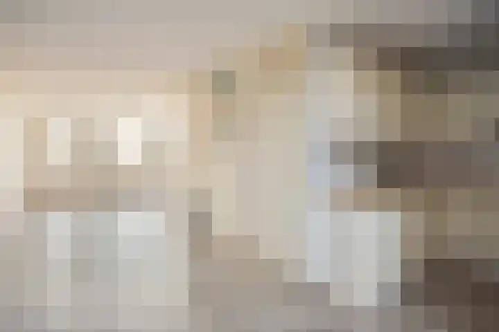 't Beusje 21 Vledder thumbnail 7