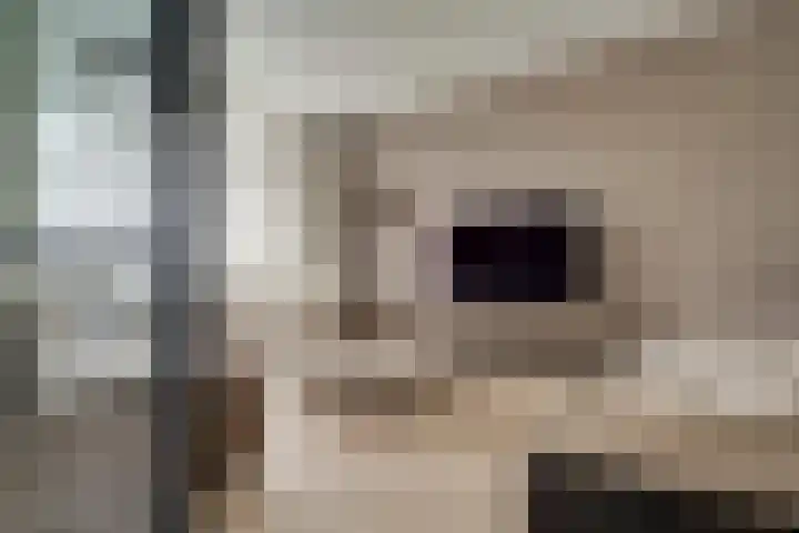 't Bieltje 16 Zevenaar thumbnail 11