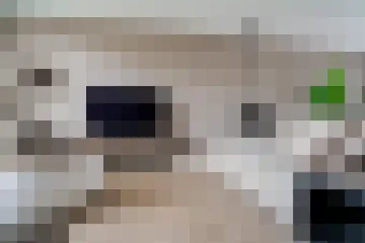 't Bieltje 16 Zevenaar thumbnail 12