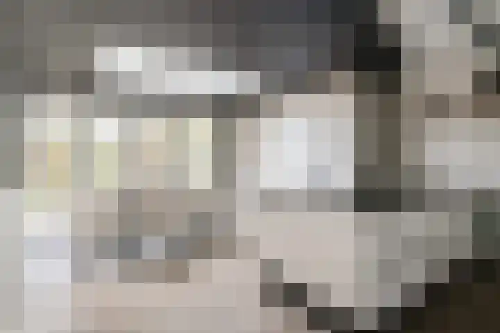't Bieltje 16 Zevenaar thumbnail 15