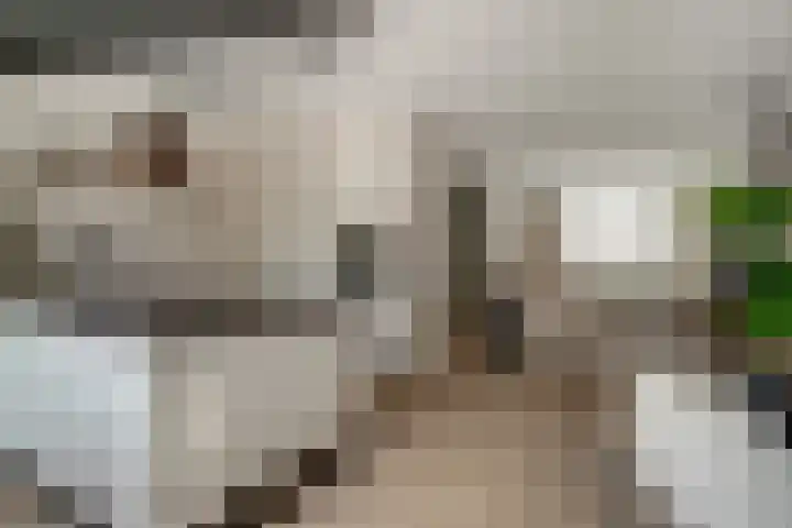 't Bieltje 16 Zevenaar thumbnail 17