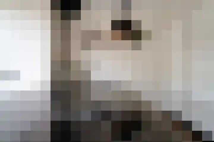 't Bieltje 16 Zevenaar thumbnail 18