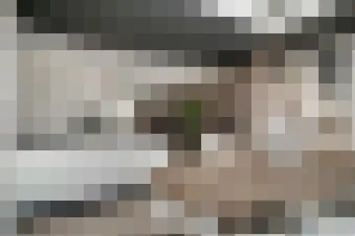 't Bieltje 16 Zevenaar thumbnail 21