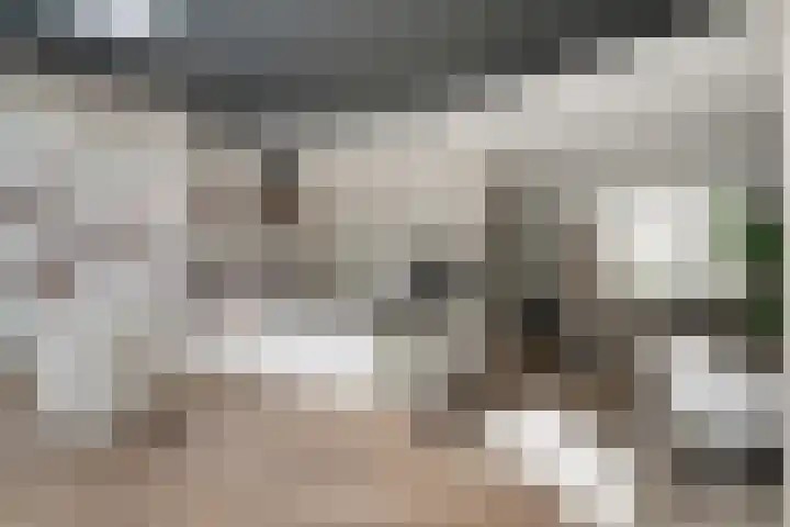 't Bieltje 16 Zevenaar thumbnail 23