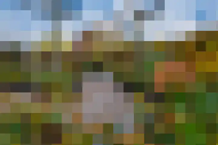 't Bieltje 16 Zevenaar thumbnail 31