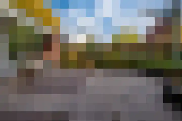 't Bieltje 16 Zevenaar thumbnail 32
