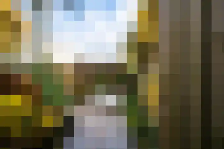 't Bieltje 16 Zevenaar thumbnail 33