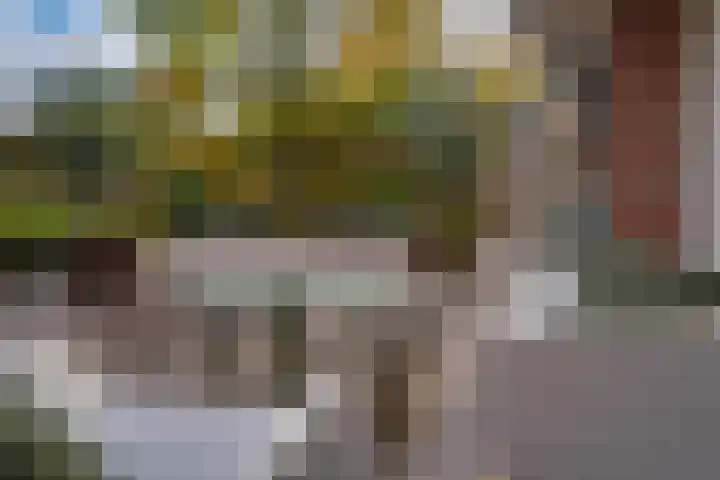 't Bieltje 16 Zevenaar thumbnail 4