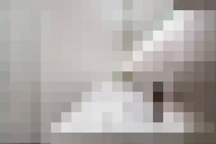 't Bieltje 16 Zevenaar thumbnail 40