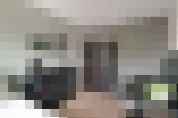 't Bieltje 16 Zevenaar thumbnail 43
