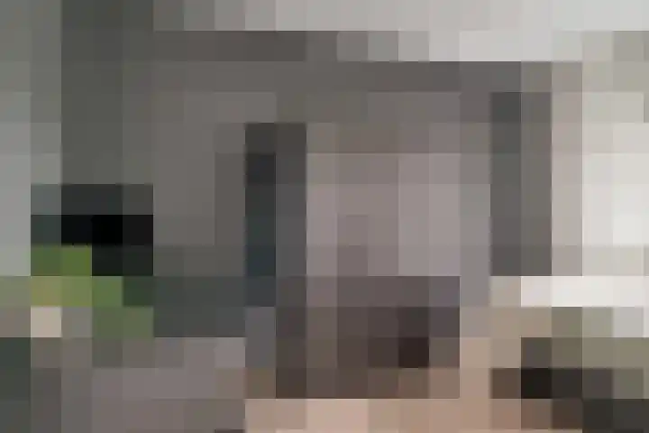 't Bieltje 16 Zevenaar thumbnail 44
