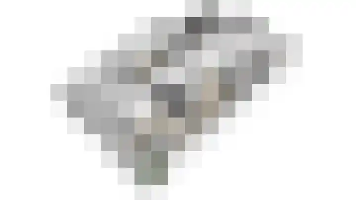 't Bieltje 16 Zevenaar thumbnail 59