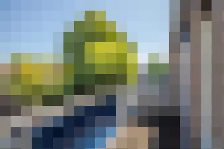 't Biezenweitje 13 Westervoort thumbnail 14