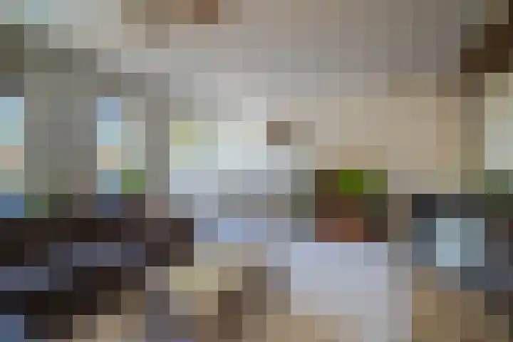 't Biezenweitje 13 Westervoort thumbnail 17