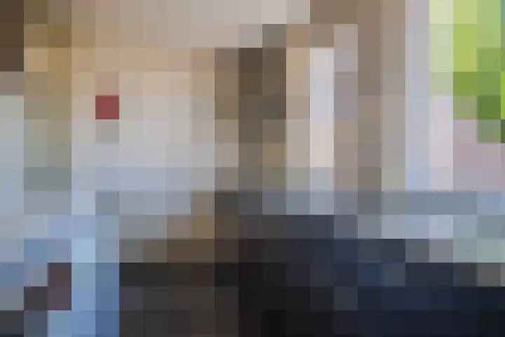 't Biezenweitje 13 Westervoort thumbnail 18