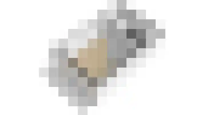 't Biezenweitje 13 Westervoort thumbnail 28