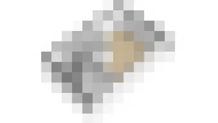 't Biezenweitje 13 Westervoort thumbnail 29