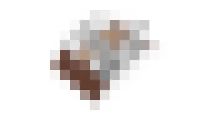 't Biezenweitje 13 Westervoort thumbnail 31