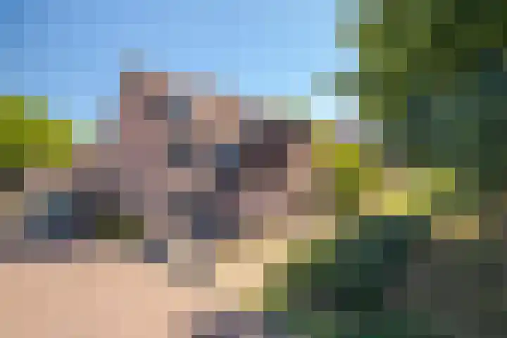 't Biezenweitje 13 Westervoort thumbnail 5