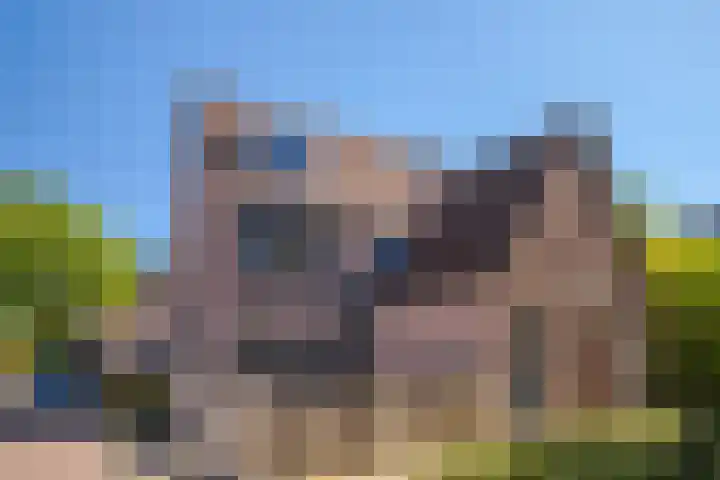 't Biezenweitje 13 Westervoort thumbnail 7