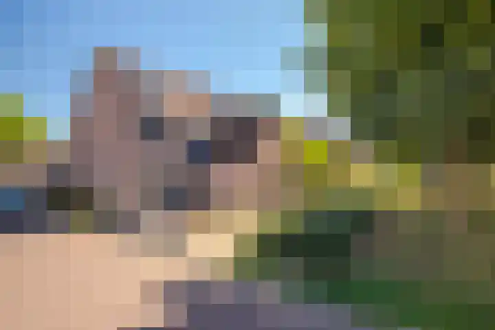 't Biezenweitje 13 Westervoort thumbnail 8
