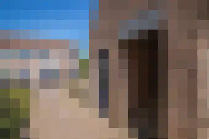 't Biezenweitje 13 Westervoort thumbnail 9
