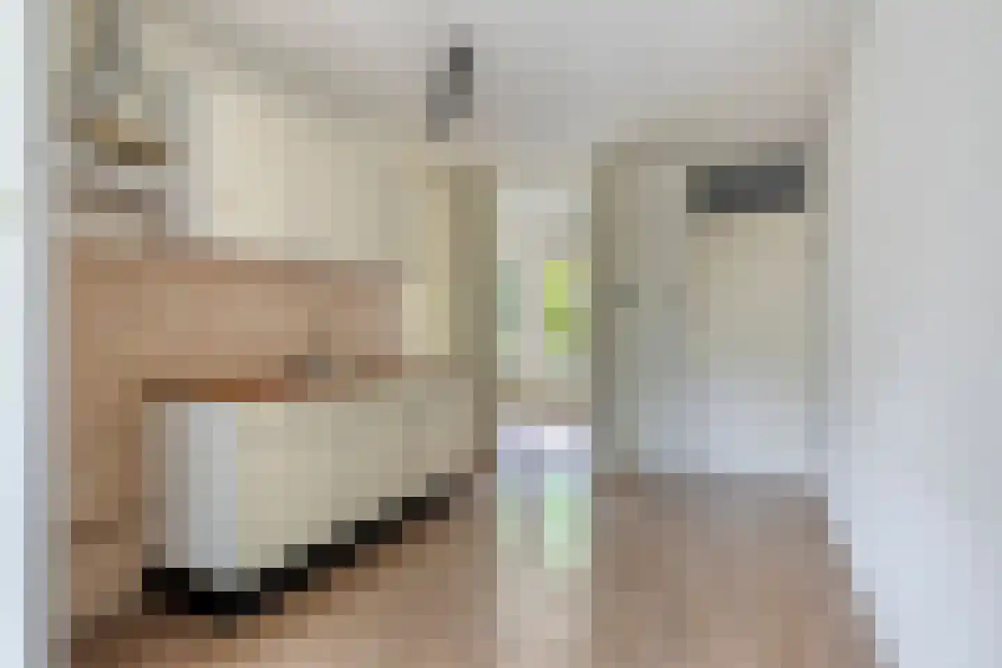 't Biezenweitje 19 Westervoort thumbnail 11