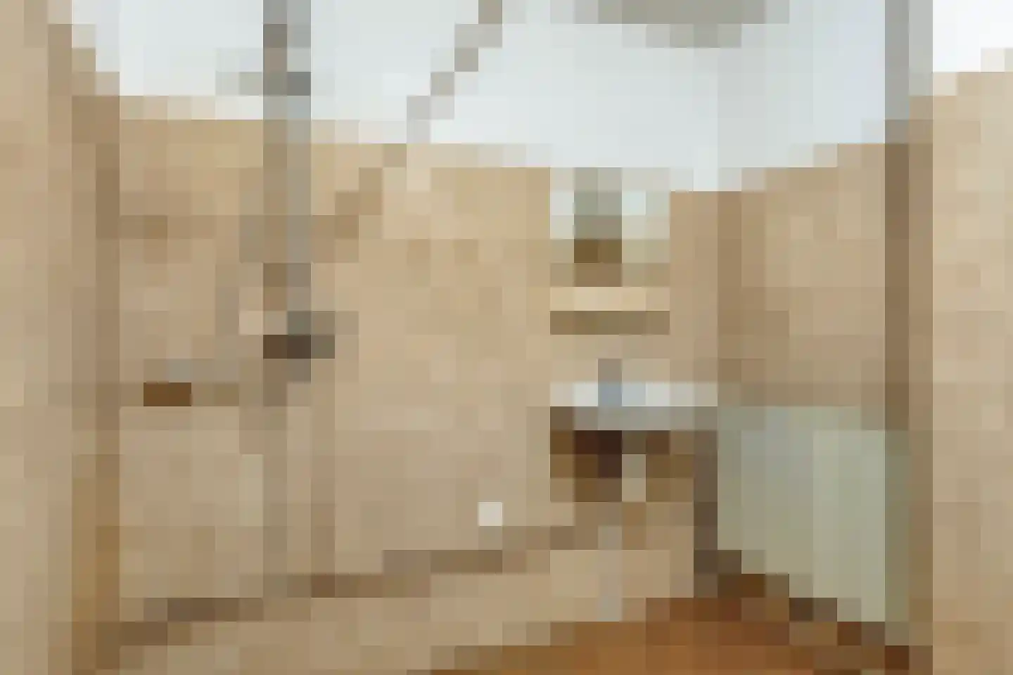 't Biezenweitje 19 Westervoort thumbnail 18