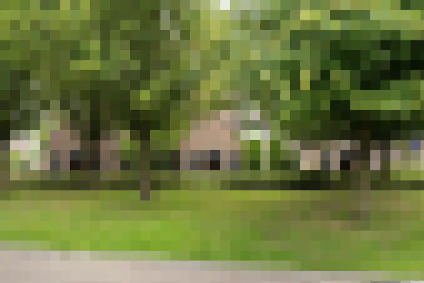 't Biezenweitje 19 Westervoort thumbnail 29