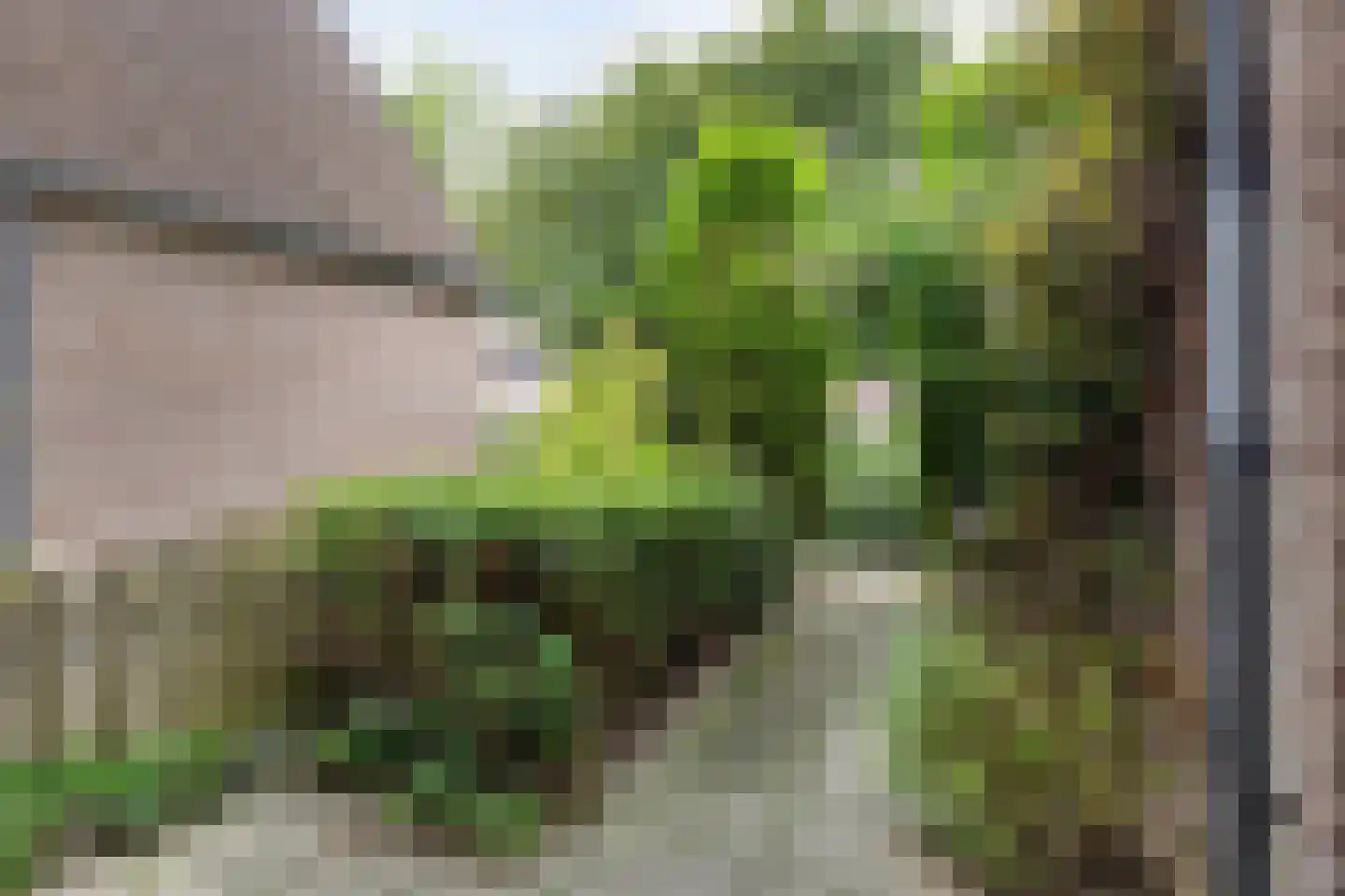 't Biezenweitje 19 Westervoort thumbnail 7