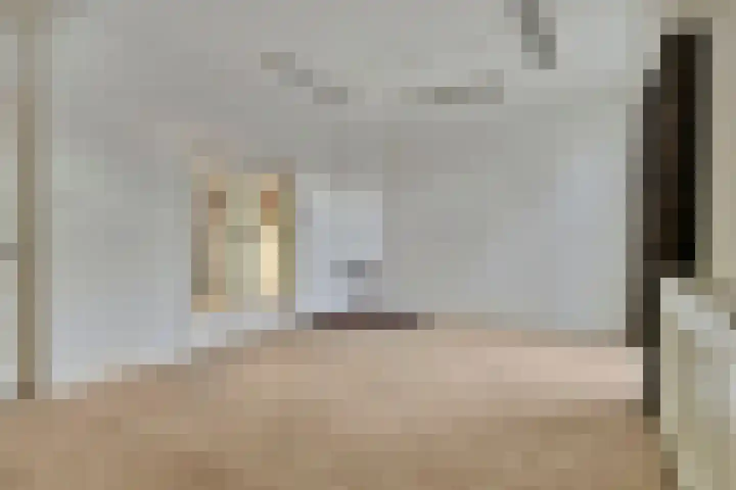 't Bijsterveld 2 Helmond thumbnail 13