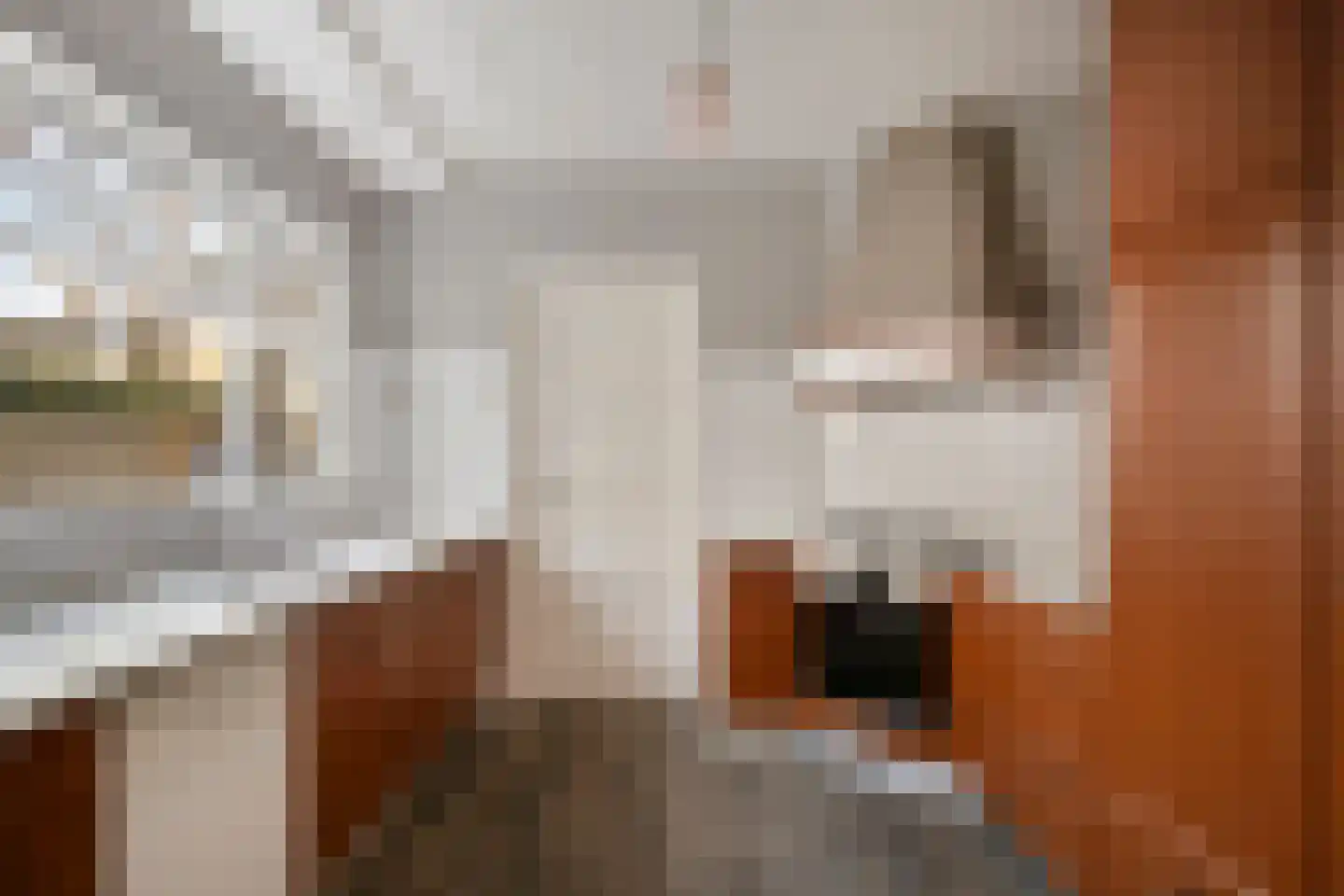 't Bijsterveld 2 Helmond thumbnail 19