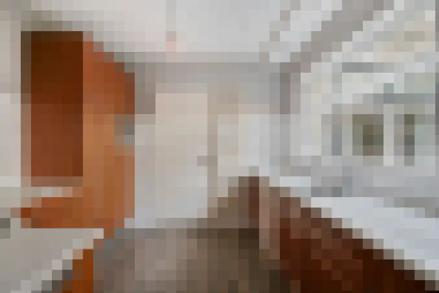 't Bijsterveld 2 Helmond thumbnail 20