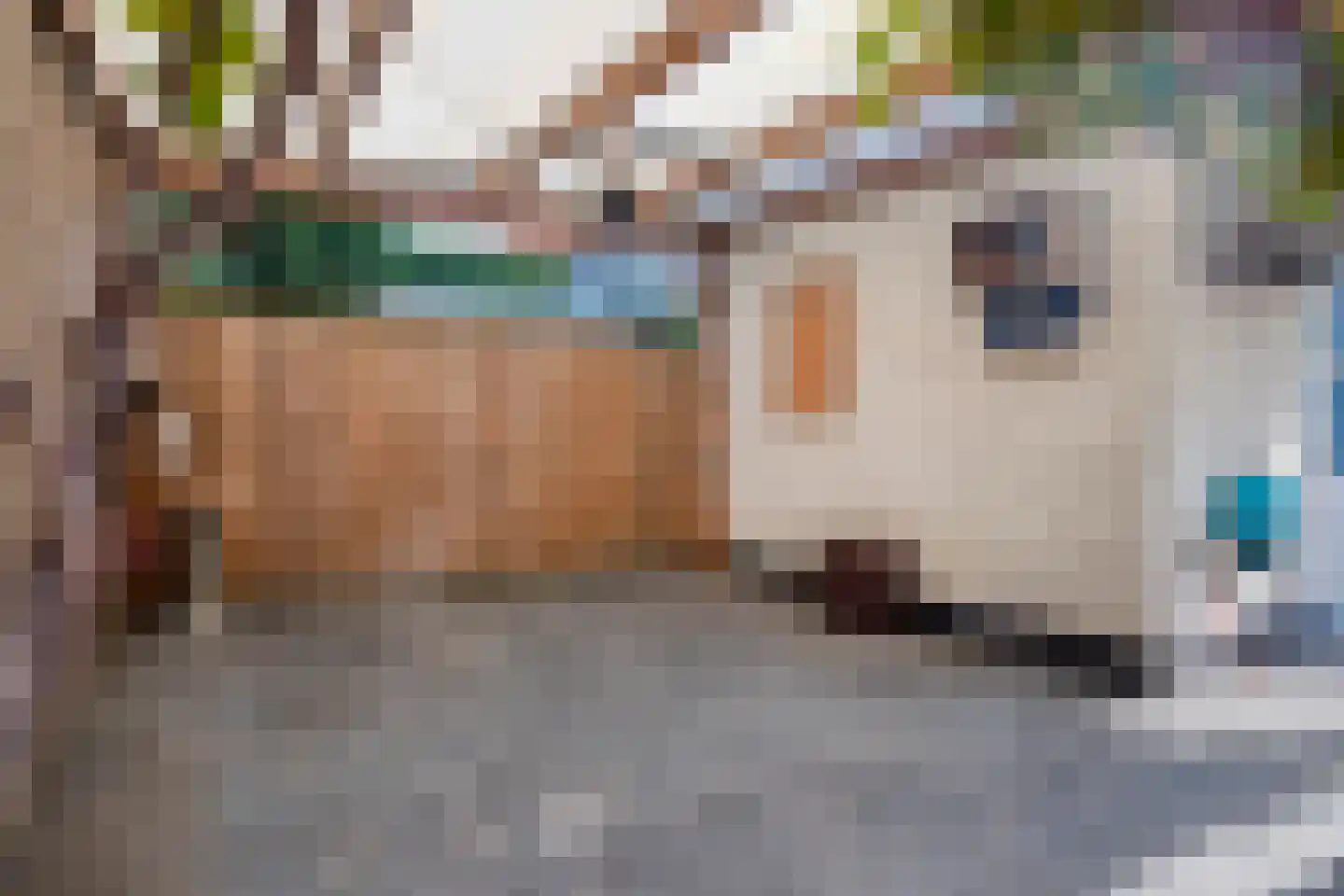 't Bijsterveld 2 Helmond thumbnail 43