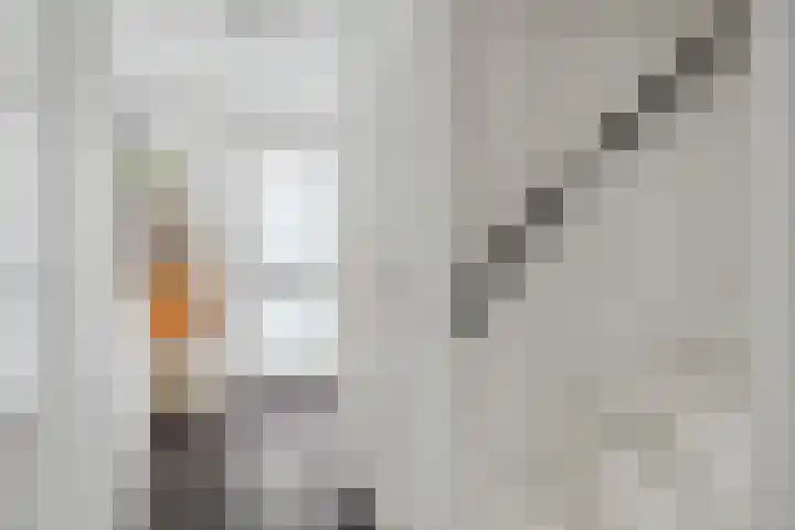 't Blok 55 Breda thumbnail 18