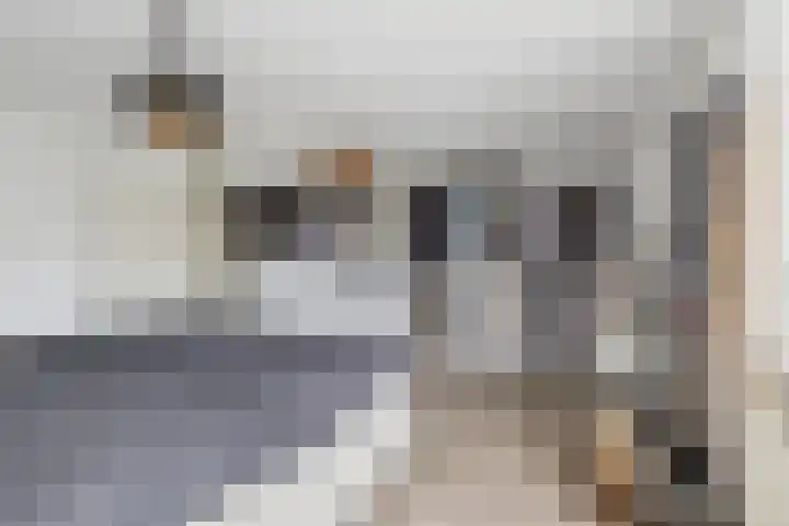 't Blok 55 Breda thumbnail 37