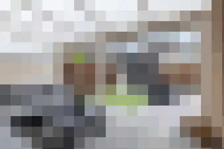 't Blok 55 Breda thumbnail 51