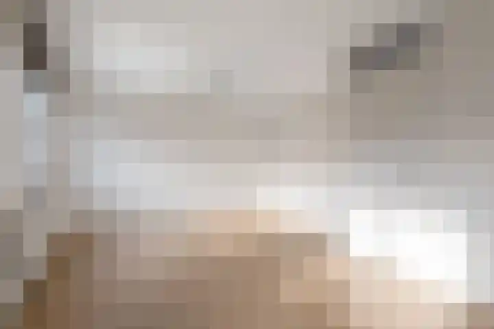 't Blok 65 Breda thumbnail 11