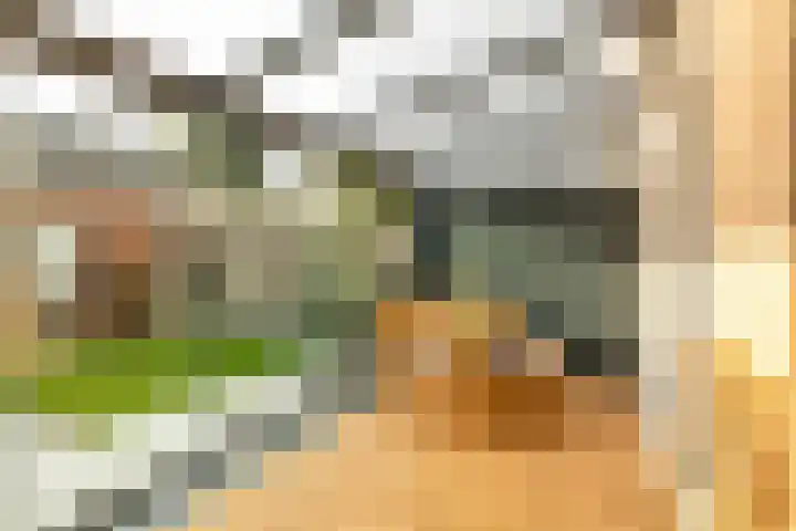 't Blok 65 Breda thumbnail 18