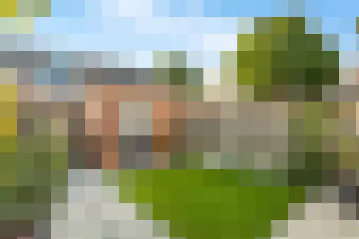 't Blok 65 Breda thumbnail 20