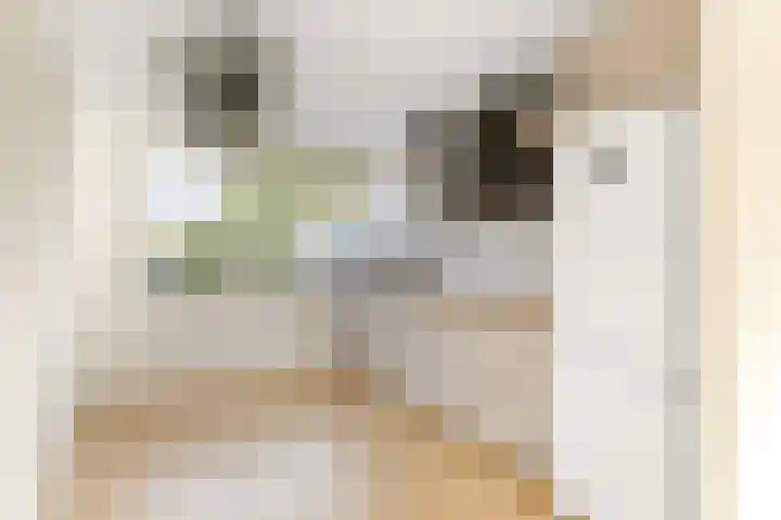 't Blok 65 Breda thumbnail 8