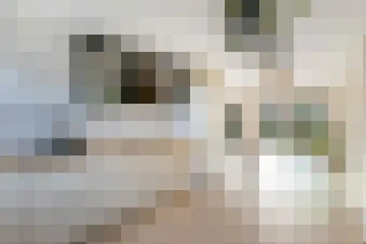 't Blok 65 Breda thumbnail 9