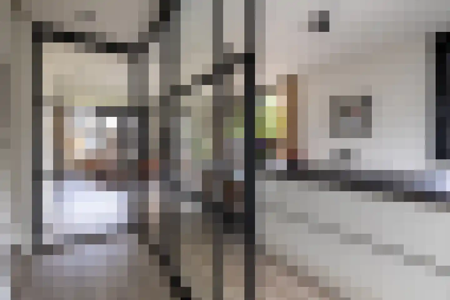 't Boerenerf 10 Garderen thumbnail 21