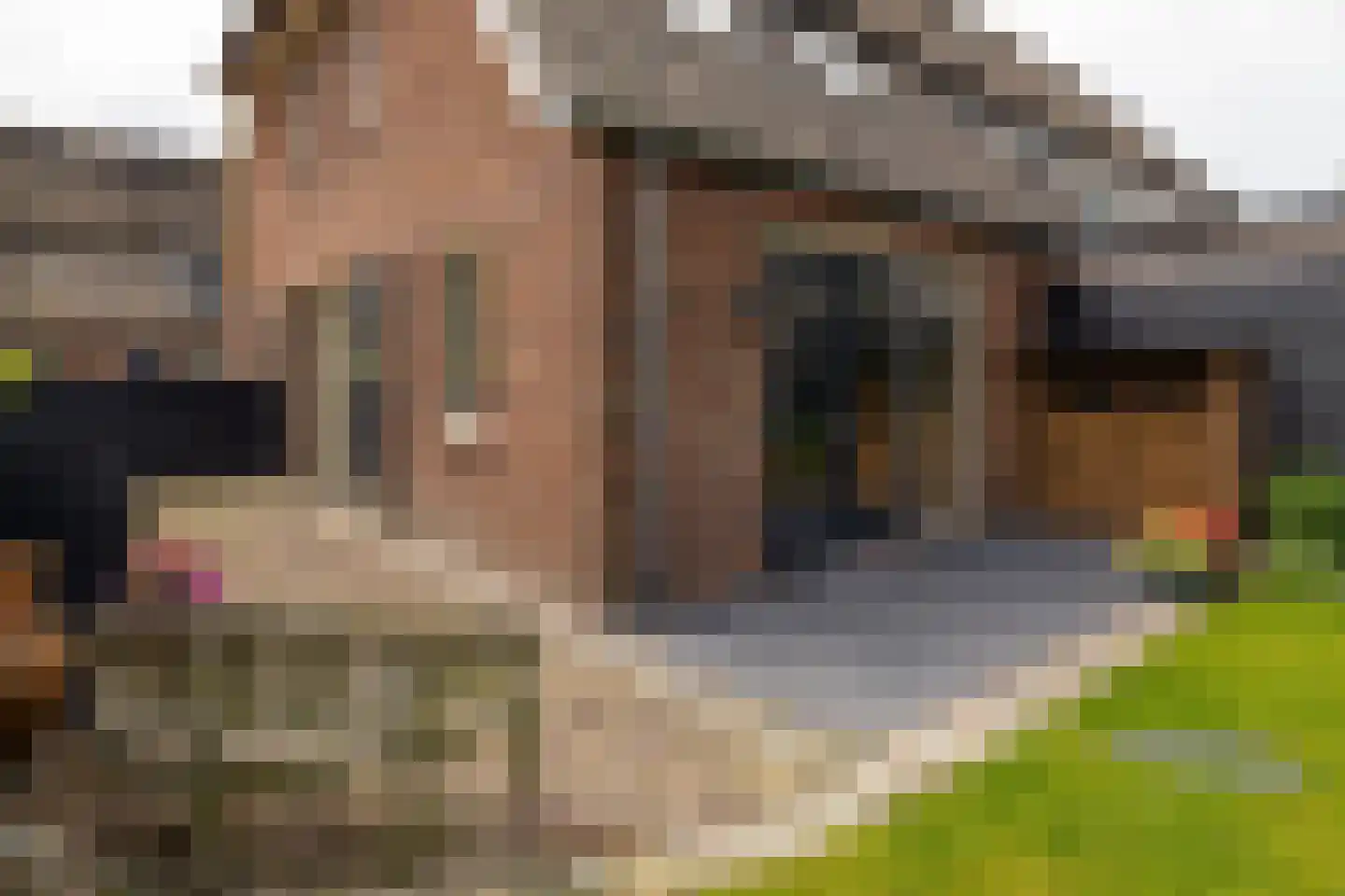 't Boerenerf 10 Garderen thumbnail 36
