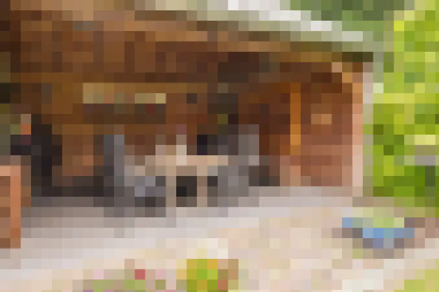 't Boerenerf 10 Garderen thumbnail 38