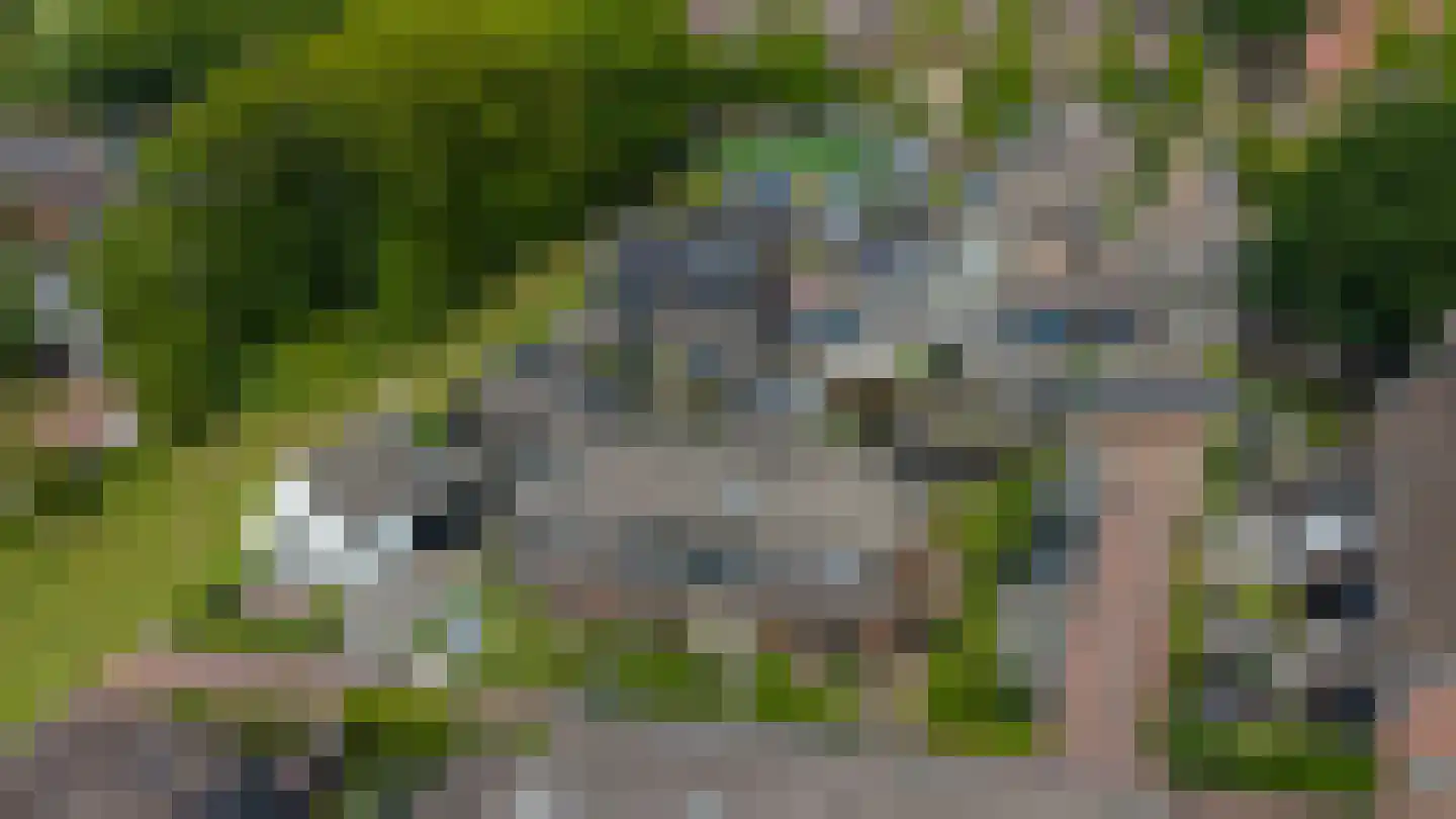 't Boerenerf 10 Garderen thumbnail 4
