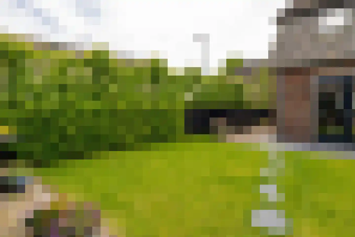 't Boerenerf 10 Garderen thumbnail 9