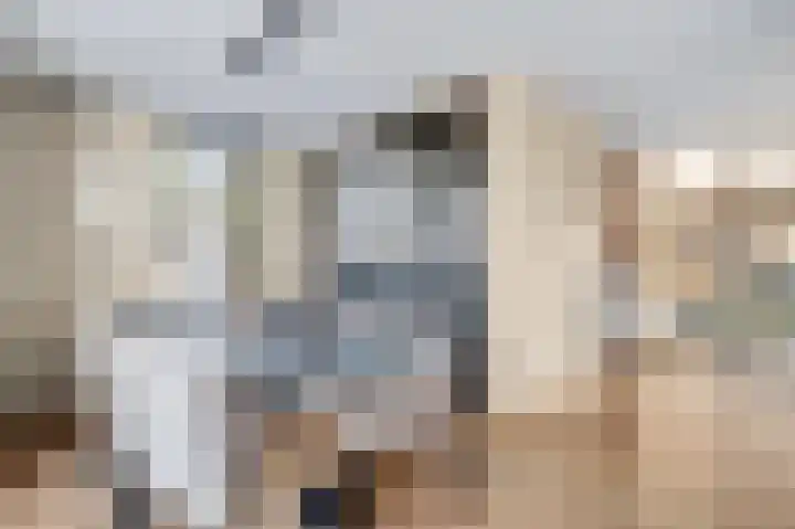't Boerenerf 3 Garderen thumbnail 21