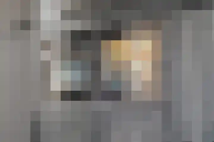 't Boerenerf 3 Garderen thumbnail 22