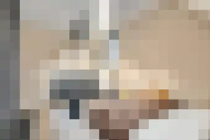 't Boerenerf 3 Garderen thumbnail 32